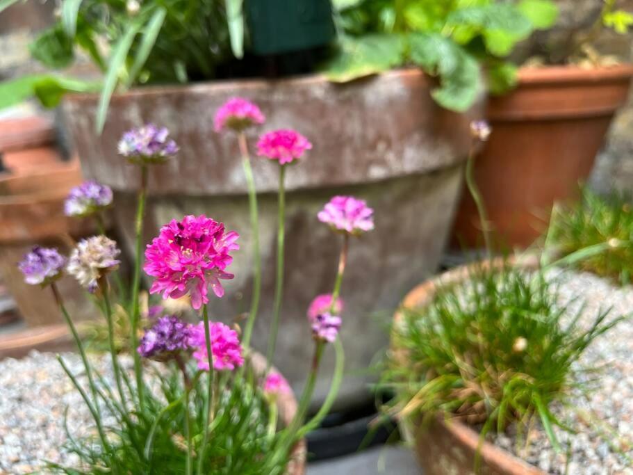 Вилла Kings Cross, Self-Contained House & Private Garden Лондон Экстерьер фото